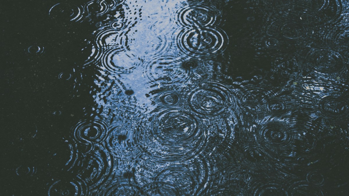 F1 race car driving through heavy rain spray creating massive water plumes, demonstrating wet weather racing challenges and the leadership skills required to excel in uncertainty