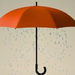 P of sales assessment comparing builder versus rainmaker sales leadership and organizational capacity
