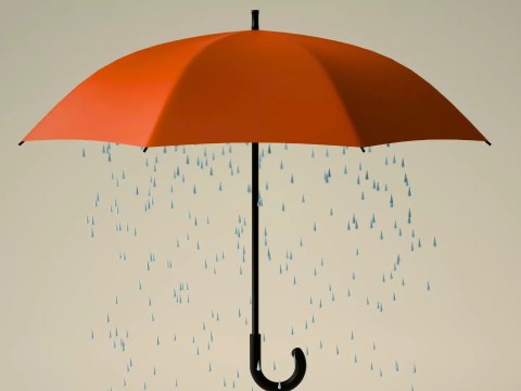 P of sales assessment comparing builder versus rainmaker sales leadership and organizational capacity
