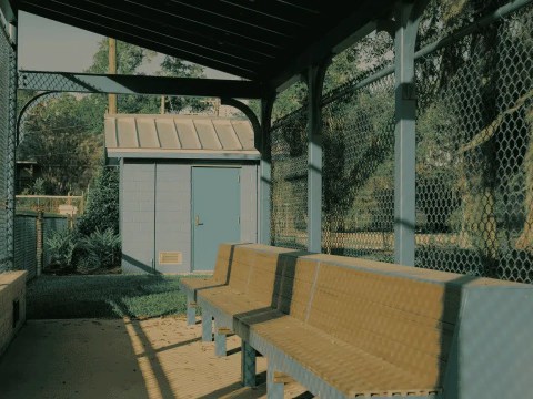 Empty stadium dugout bench under stadium lights, representing succession bench strength